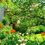 Апартаменты Janischs Im Spreewald, Terrasse, Grosser Garten Und Blick Inklusive Unterspreewald