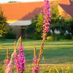 Janischs Im Spreewald, Terrasse, Grosser Garten Und Blick Inklusive * Unterspreewald