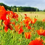 Janischs Im Spreewald, Terrasse, Grosser Garten Und Blick Inklusive Апартаменты Unterspreewald