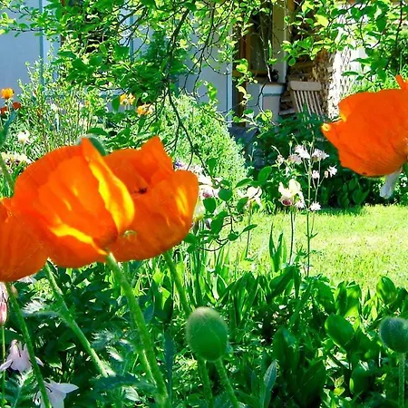Janischs Im Spreewald, Terrasse, Grosser Garten Und Blick Inklusive Apartament