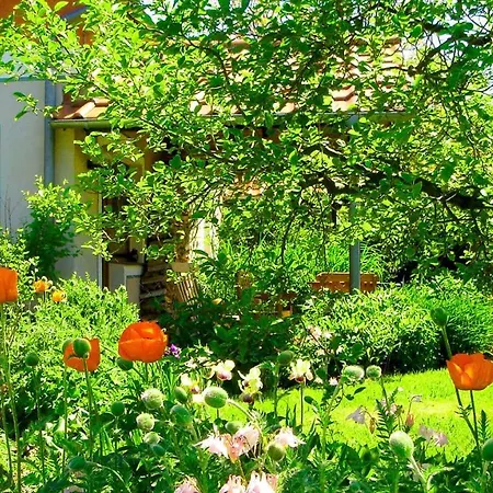 Апартаменты Janischs Im Spreewald, Terrasse, Grosser Garten Und Blick Inklusive Unterspreewald