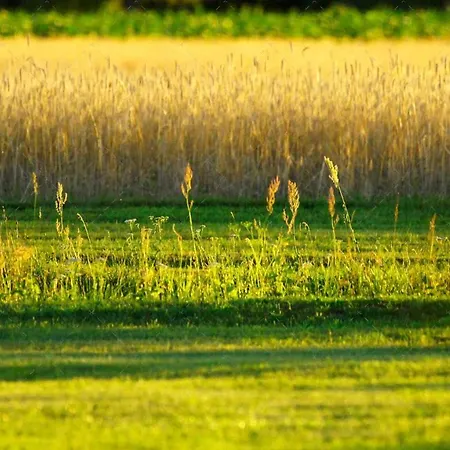 Апартаменты Janischs Im Spreewald, Terrasse, Grosser Garten Und Blick Inklusive *