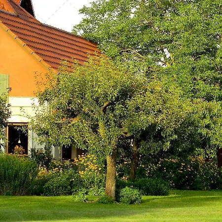 Janischs Im Spreewald, Terrasse, Grosser Garten Und Blick Inklusive Апартаменты Unterspreewald