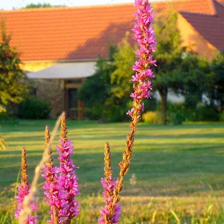 Janischs Im Spreewald, Terrasse, Grosser Garten Und Blick Inklusive * Unterspreewald