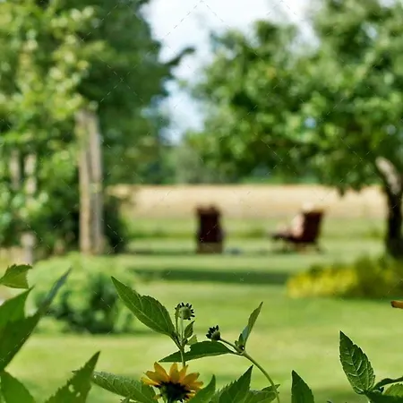 Janischs Im Spreewald, Terrasse, Grosser Garten Und Blick Inklusive