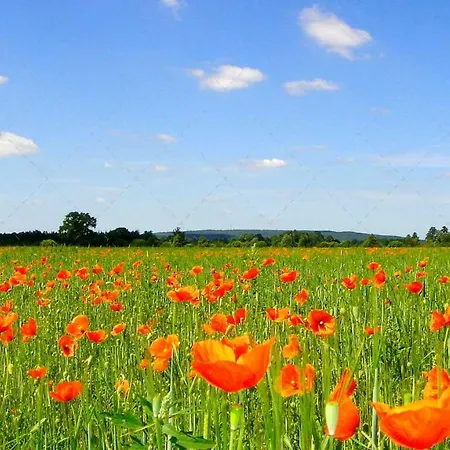 Janischs Im Spreewald, Terrasse, Grosser Garten Und Blick Inklusive