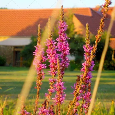 Janischs Im Spreewald, Terrasse, Grosser Garten Und Blick Inklusive Unterspreewald