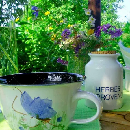 Janischs Im Spreewald, Terrasse, Grosser Garten Und Blick Inklusive