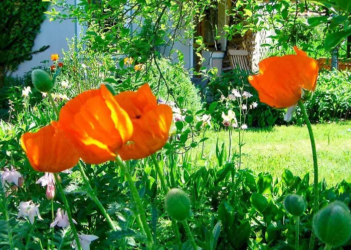 Janischs Im Spreewald, Terrasse, Grosser Garten Und Blick Inklusive アパート
