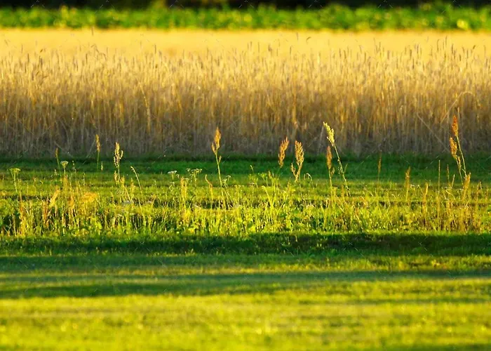 アパート Janischs Im Spreewald, Terrasse, Grosser Garten Und Blick Inklusive *