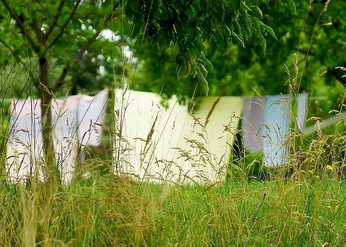 Janischs Im Spreewald, Terrasse, Grosser Garten Und Blick Inklusive * Unterspreewald