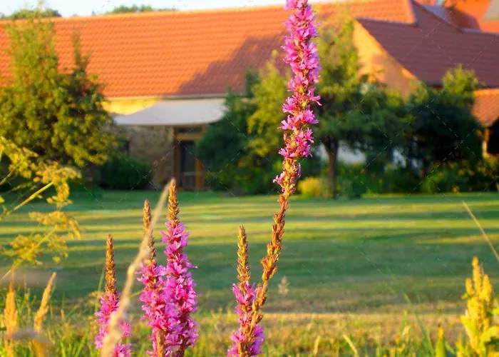 Janischs Im Spreewald, Terrasse, Grosser Garten Und Blick Inklusive * Unterspreewald