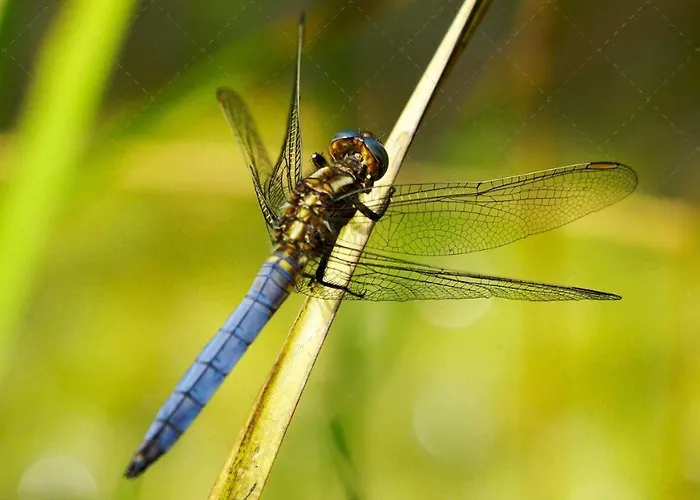 アパート Janischs Im Spreewald, Terrasse, Grosser Garten Und Blick Inklusive *