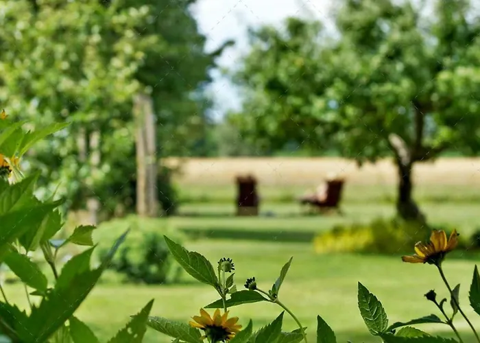 Janischs Im Spreewald, Terrasse, Grosser Garten Und Blick Inklusive