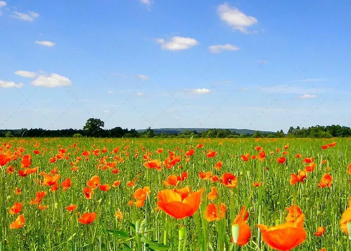 Janischs Im Spreewald, Terrasse, Grosser Garten Und Blick Inklusive