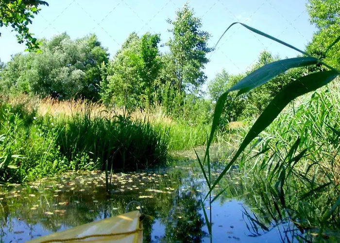 Janischs Im Spreewald, Terrasse, Grosser Garten Und Blick Inklusive Unterspreewald