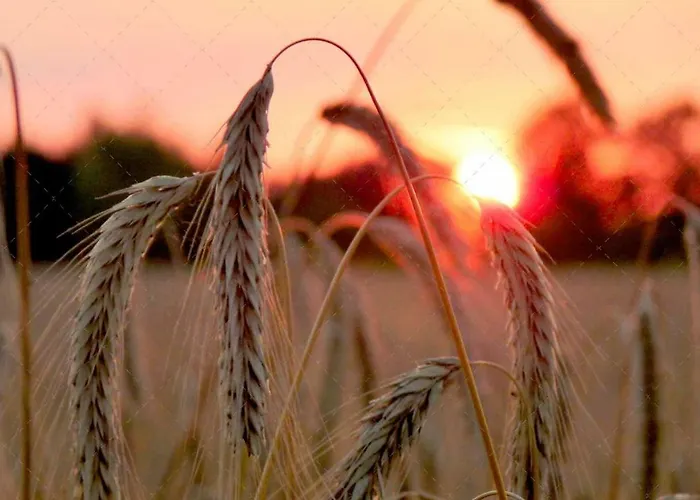 Janischs Im Spreewald, Terrasse, Grosser Garten Und Blick Inklusive アパート *