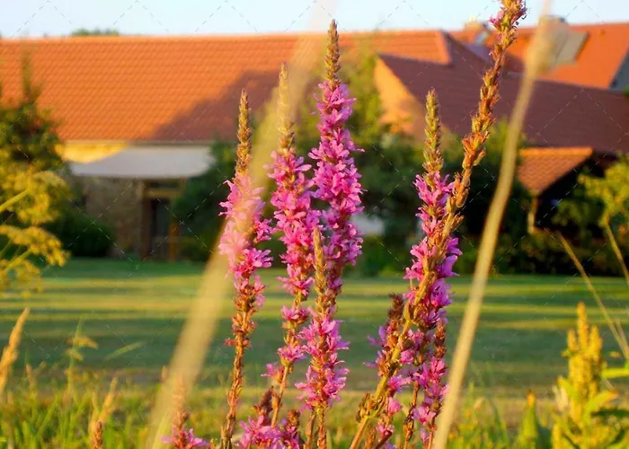 Janischs Im Spreewald, Terrasse, Grosser Garten Und Blick Inklusive Unterspreewald