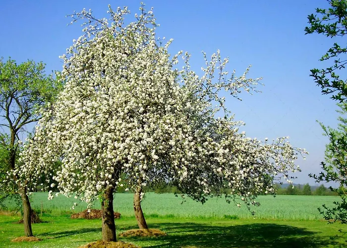 Janischs Im Spreewald, Terrasse, Grosser Garten Und Blick Inklusive * Unterspreewald